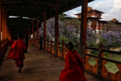 monks-at-punakha